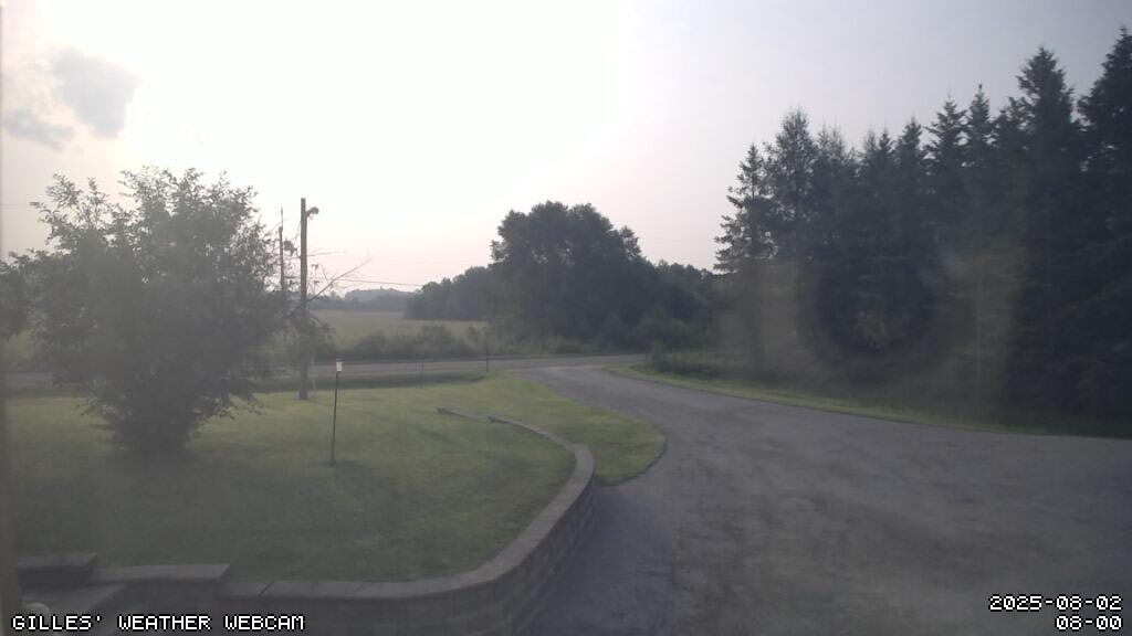 Netcam facing South-East